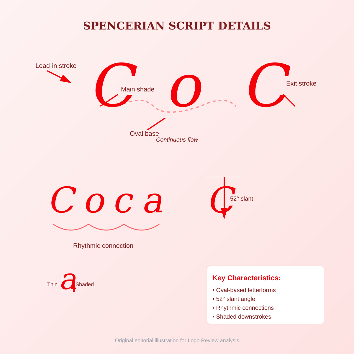 Detailed view of the Spencerian script letterforms showing the hand-drawn curves and rhythm